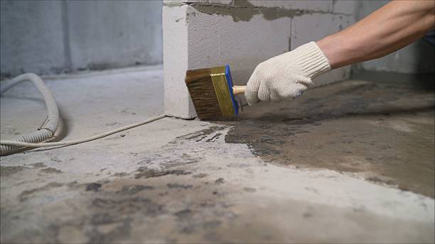 Top rated local Crawl Space Encapsulation specialists in Edinburgh, IN